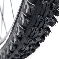 TRS Plus All-Terrain Tire | Trail | 29" | 2.40 | 120tpi | Single Ply | Plus Compound (TR2TPA-105)