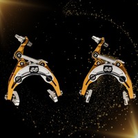 eeBrake The Alchemist RM Limited Edition Regular Mount Brakeset kit (BEE0290)