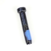 THUDBUSTER G4 - PIVOT SCREW (AAE0253)