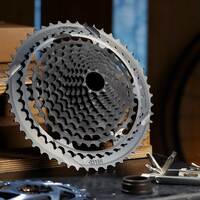 Cassette Helix Plus | 12 Speed | 9-50T | XD Mounting |Black (FW2HPA-100)