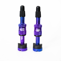 Quickfill PRESTA Tubeless Valves | Gen2 | 16-24mm  Depth | 2 Pieces | Intergalactic (TR2UNA-112)
