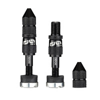 Quickfill SCHRADER Tubeless Valves | Gen2 | 16-24mm  Depth | 2 Pieces | Black (TR2UNA-128)