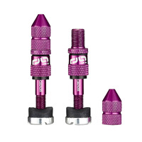 Quickfill SCHRADER Tubeless Valves | Gen2 | 23-31mm  Depth | 2 Pieces | EGGPLANT (TR2UNA-135)