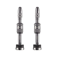 Quickfill PRESTA Tubeless Valves | Gen2 | 16-24mm  Depth | 2 Pieces | SILVER (TR2UNA-139)