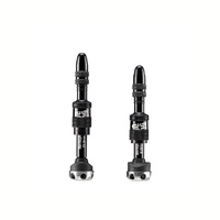 Presta Quickfill | Tubeless Valve | for Bosch Smart System with Rim Magnet | Gen2 | 16-24mm Depth | 2 Pieces | Black (TR2UNA-144)
