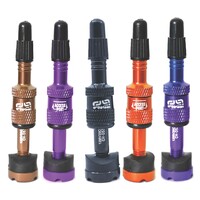 Tubeless Quickfill Valves