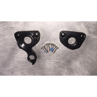 Salted Bikes Derailleur Hanger Set for SandFlea 197 x 12