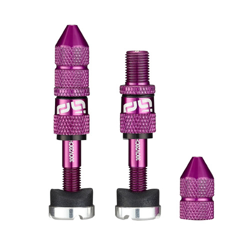 Quickfill SCHRADER Tubeless Valves | Gen2 | 23-31mm  Depth | 2 Pieces | EGGPLANT (TR2UNA-135)