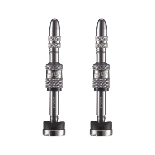 Quickfill PRESTA Tubeless Valves | Gen2 | 16-24mm  Depth | 2 Pieces | SILVER (TR2UNA-139)
