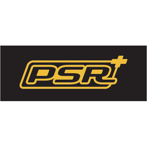 Straight-Pull PSR 14G 2.2/2.0 BLACK 310mm BOX 100 No Nipples